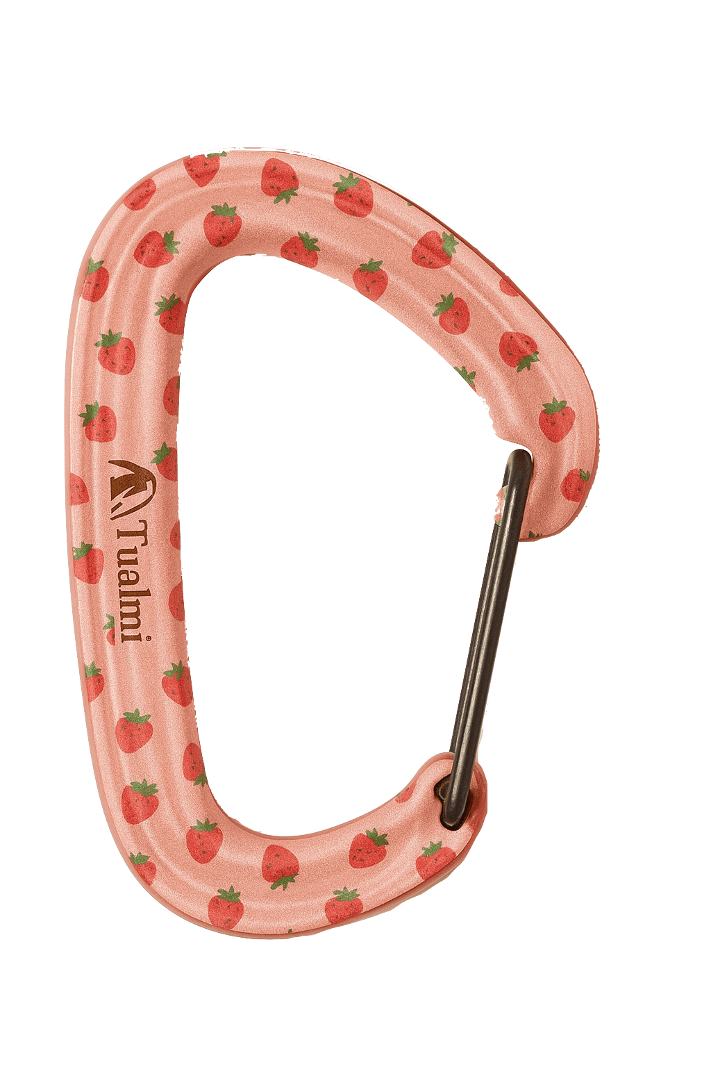Carabiner Default view 1